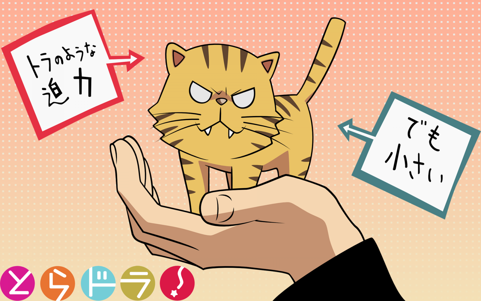 gallery_47_15_37441.png
