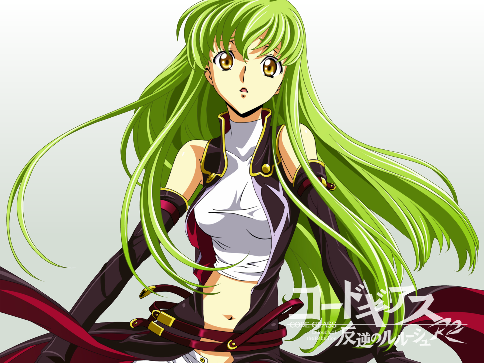 gallery_47_15_882742.png